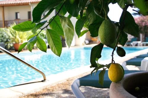 A serene poolside scene framed by lush lemon tree branches evokes a tranquil vacation vibe, perfect for travelers seeking relaxation in a picturesque resort setting.