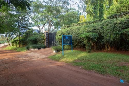 Bluemonkey Guesthouse