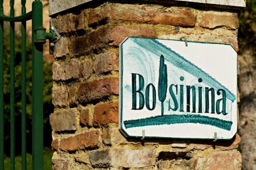 Casa Bolsinina