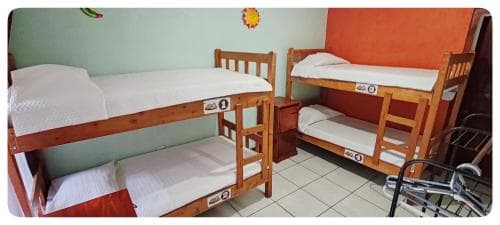 Hostel Sloth Backpackers B&b