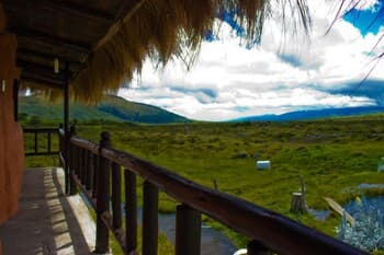 Mauca Pedregal