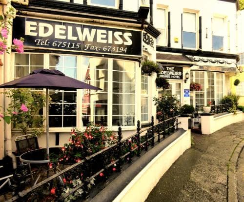 The Edelweiss