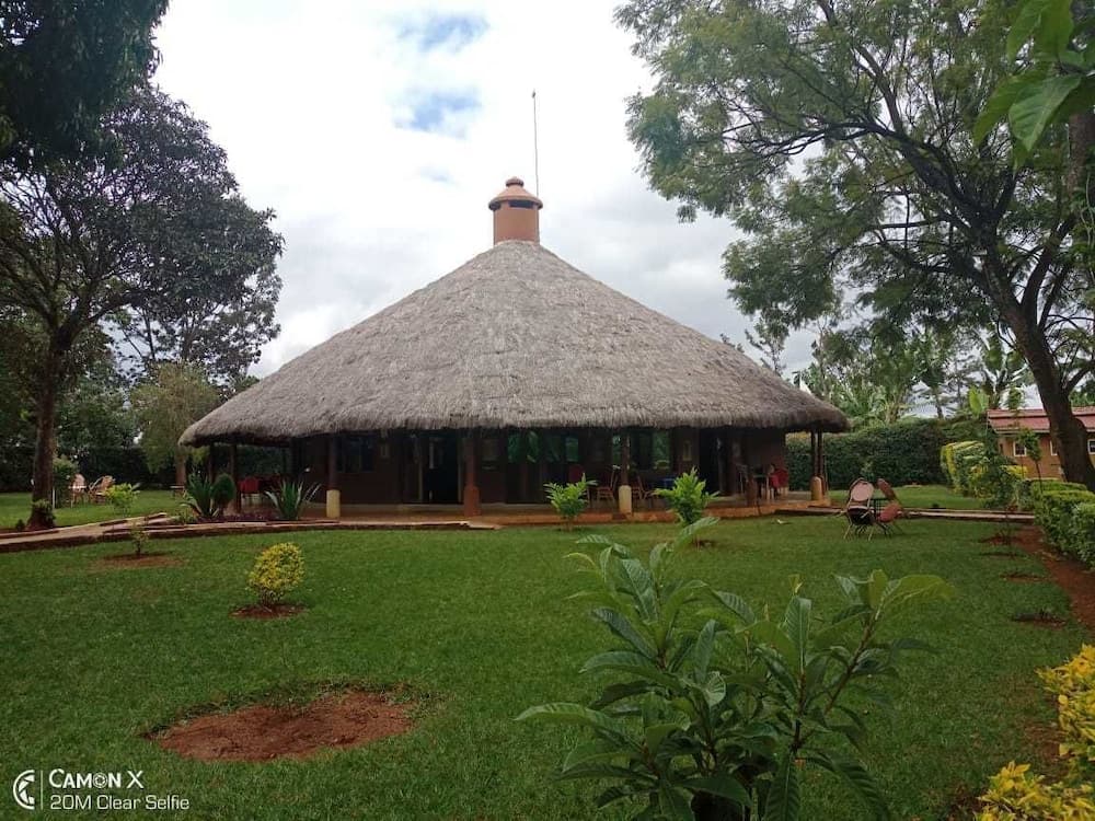Kilimo Talii