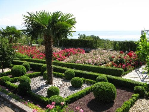 A serene coastal garden features meticulously trimmed hedges, vibrant flower beds, and a central palm tree, offering a picturesque spot for relaxation and photography.