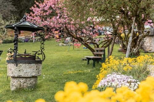 A serene garden scene features a charming stone well with an ornate metal top surrounded by vibrant yellow flowers, blooming pink trees, and inviting benches, perfect for a tranquil retreat or romantic getaway.