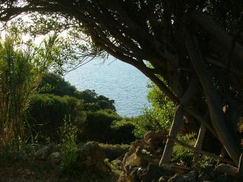 Bed & Breakfast Il Cigno