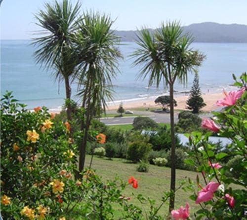 Carneval Ocean View