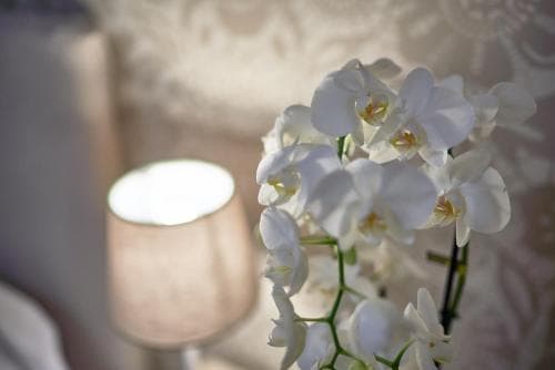 Hotel Clodia