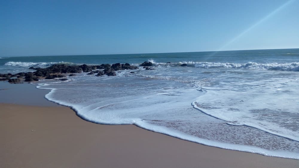 Paradialaw