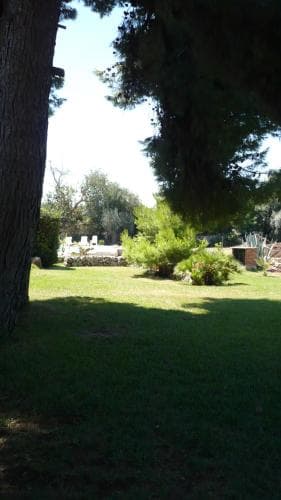 B&B Asparano