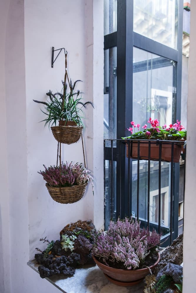 B&B La Petite Maison