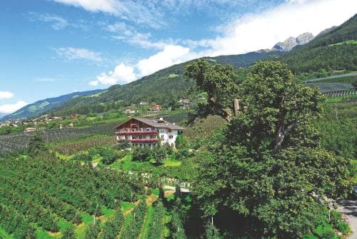 Pension Laurin