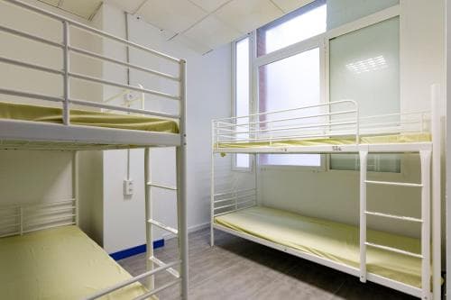 A cozy hostel room with bright bunk beds, large windows, and minimalist decor offers travelers a clean and affordable accommodation option.