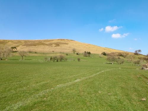 Meadow View