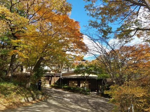 A serene autumn scene features a traditional wooden building nestled among vibrant orange and yellow foliage, ideal for travelers seeking a peaceful retreat in a natural setting.
