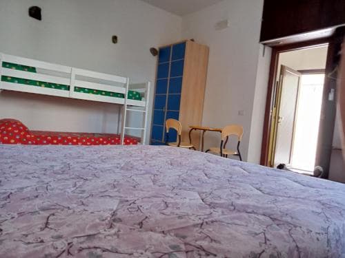 B&B Pinna Gialla