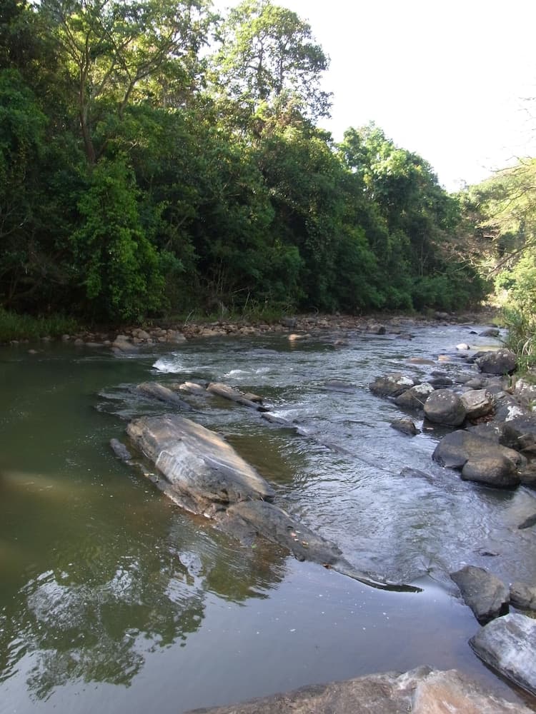 The Kandy Samadhi Centre