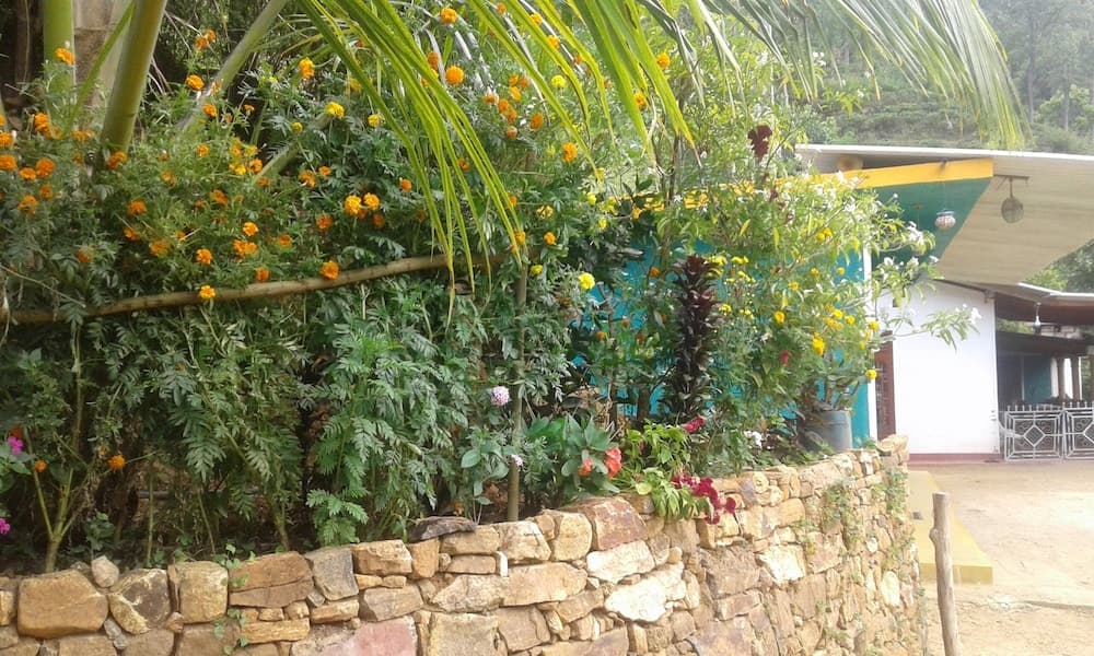 Nature s Rest