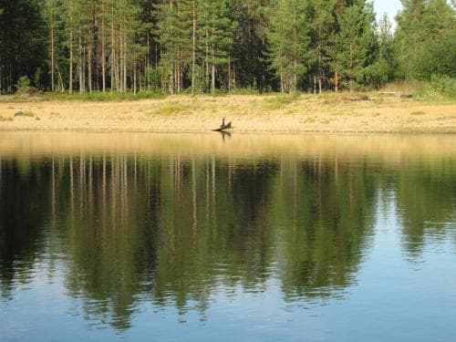 Vuotson Maja