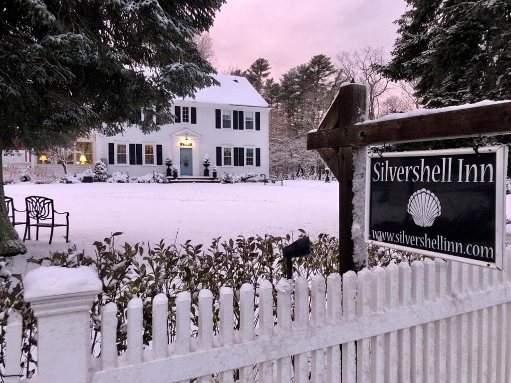 Silvershell Inn