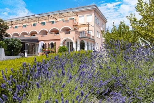 A charming pink hotel with arched balconies is nestled amidst lush lavender fields under a bright blue sky, creating a serene and picturesque setting ideal for a relaxing getaway.