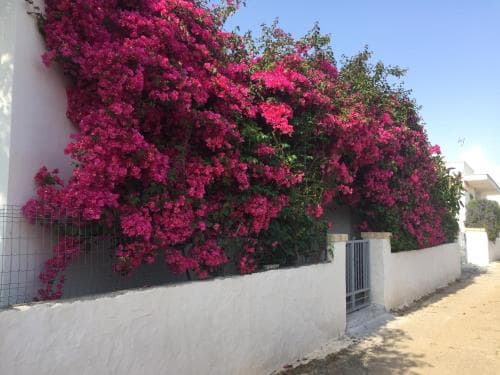 Alba e Tramonto Bed & Breakfast