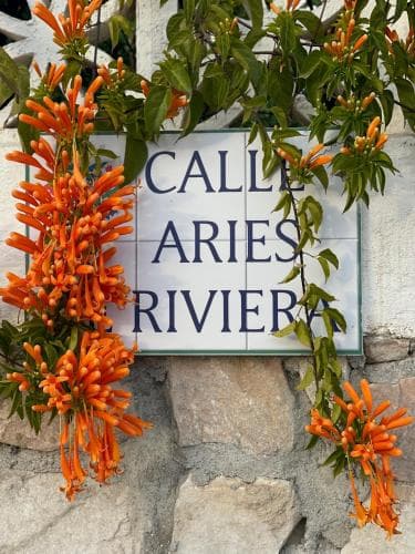 Casa Flora