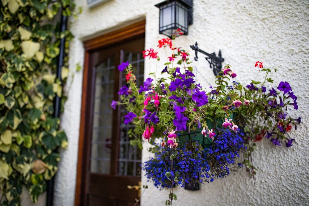 The Cottage