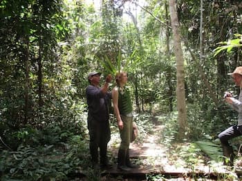 Curassow Amazon Lodge