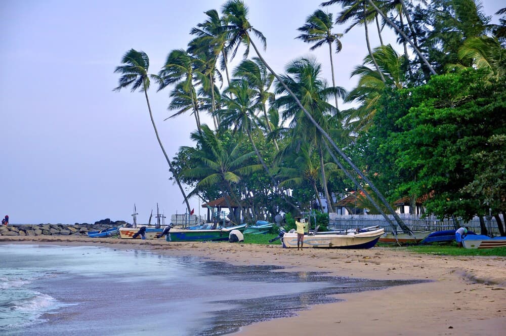 Tamasha Mango House