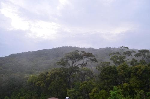 The Rainforest Ecolodge