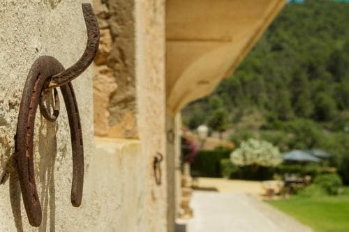 Finca Son Brondo