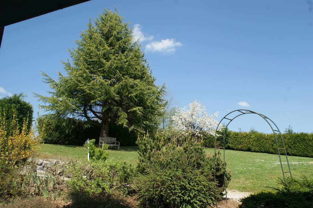 Hôtel Blanc