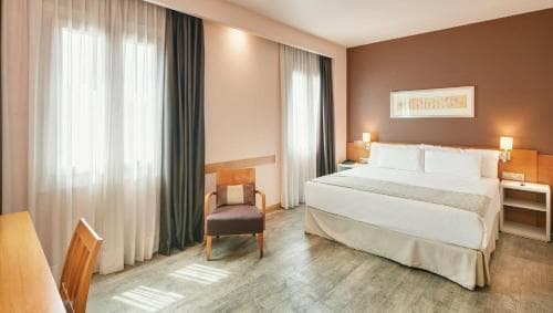 Hotel Sercotel Alcalá 611
