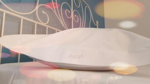 Ascot Hotel