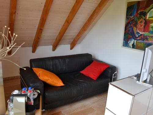 Chat au Grumbach