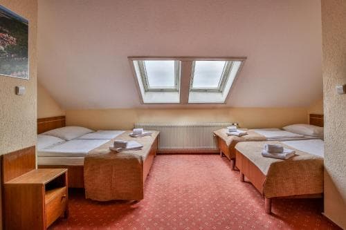 Hotel Slavia TÁbor