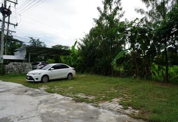 Thinpaka Resort