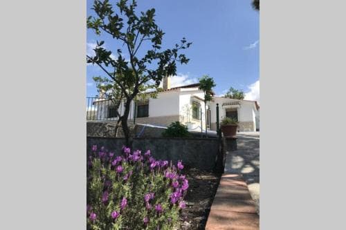 Casa B