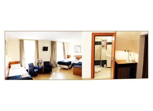 Apartamenty Pod Lwem