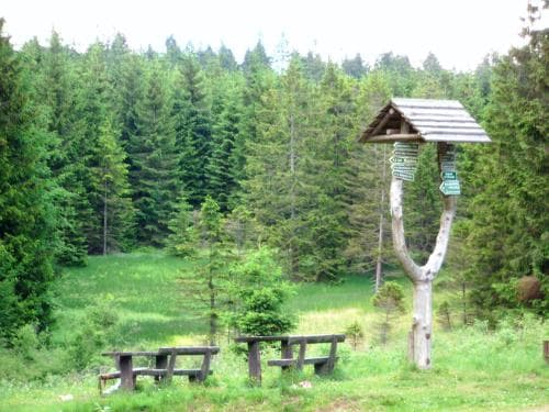 Aktiv Pension