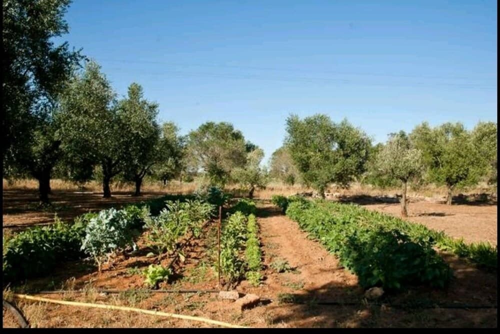 Bed & Breakfast La Liccina