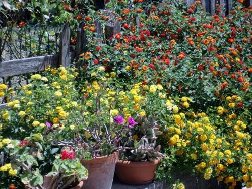 B&B Il Melograno