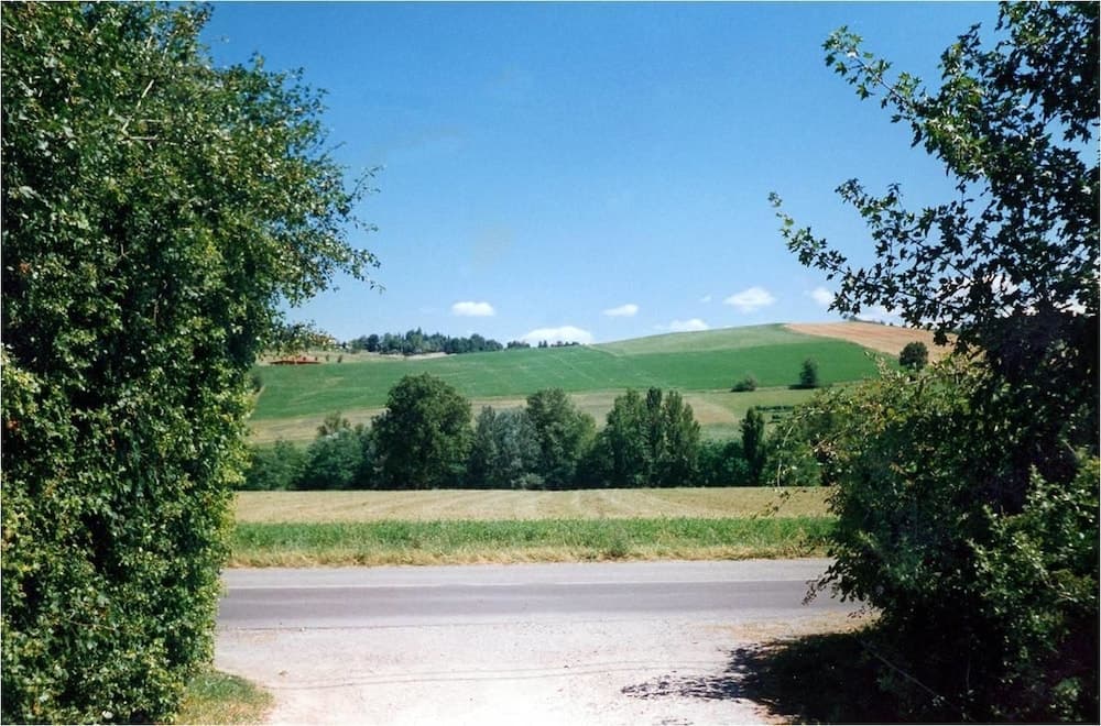 I Cedri B&B