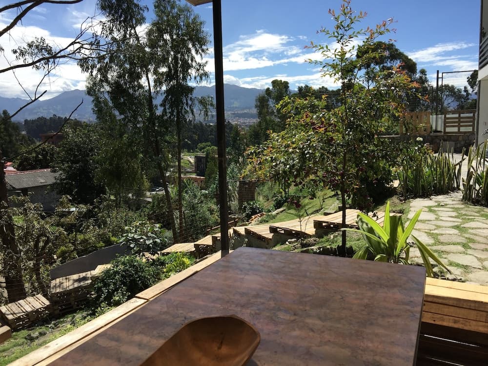 Bambu Sierra