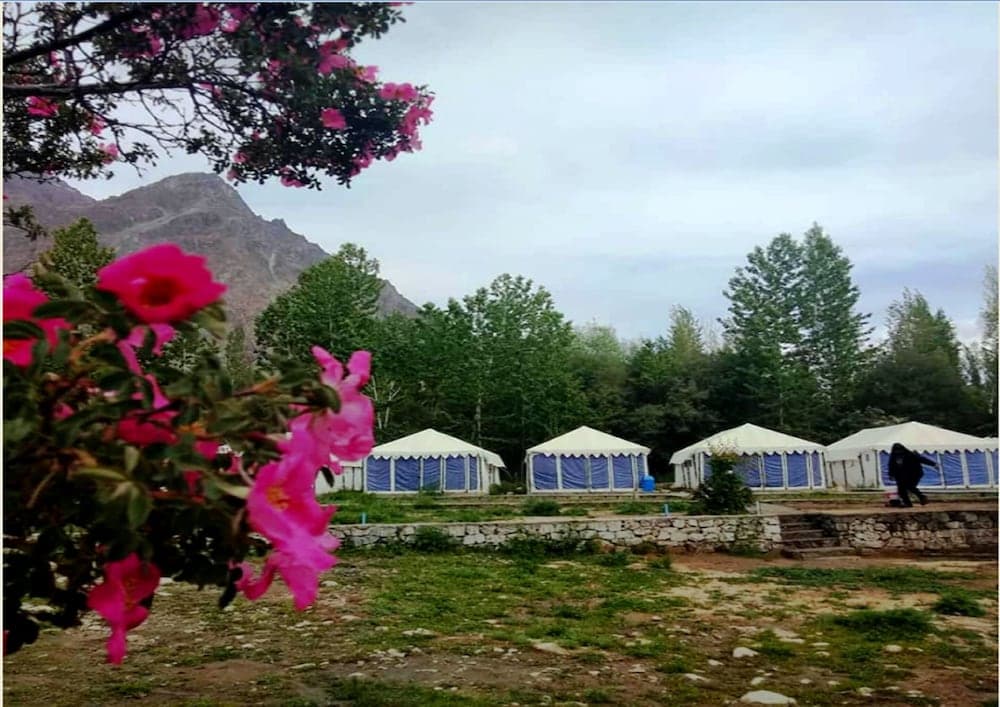 A serene camping site nestled among lush greenery and mountains, featuring white tents with blue accents, vibrant pink flowers in the foreground, and a tranquil atmosphere ideal for nature lovers seeking a peaceful retreat.