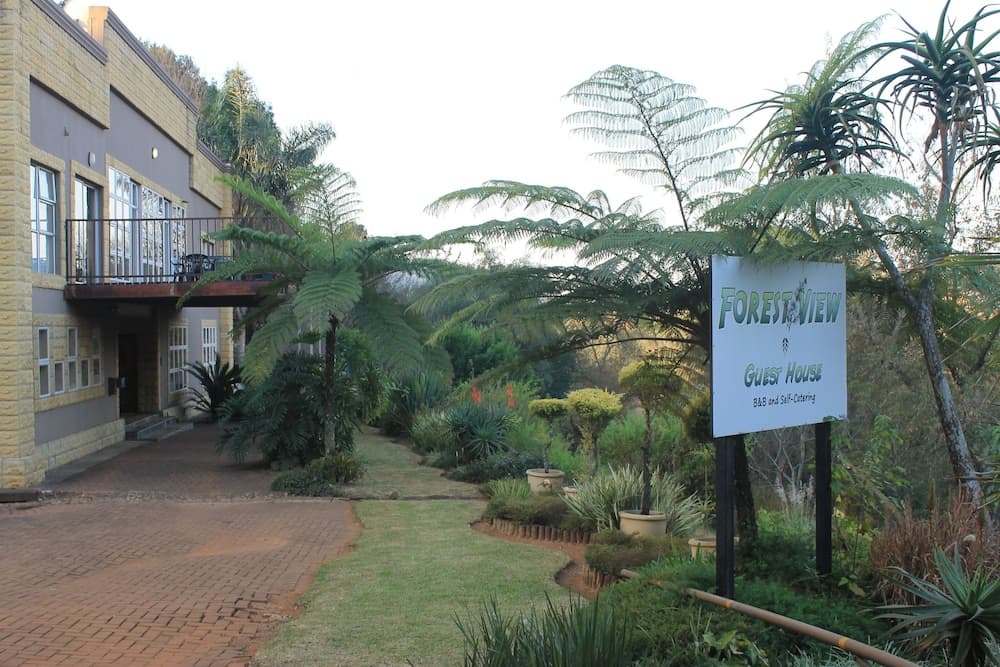 Forest View Guest House & Self Catering