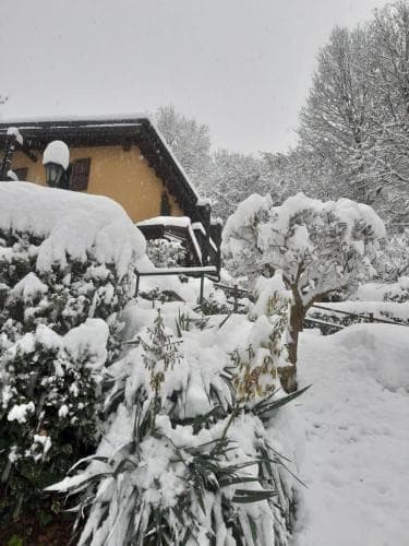 Casa Amici Del Bosco
