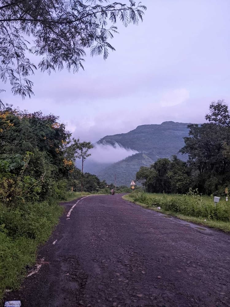 Mango Tree Farm