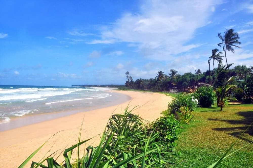 A serene tropical beach scene with golden sands, lush greenery, palm trees, and gentle waves under a bright blue sky, ideal for relaxation and vacation photography.